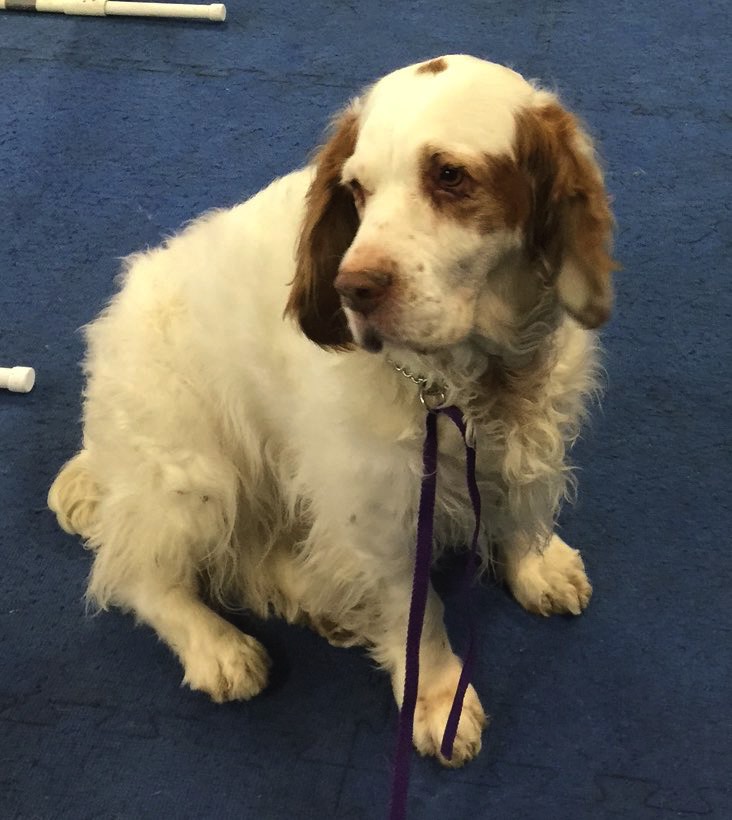 A short description about the picture goes here